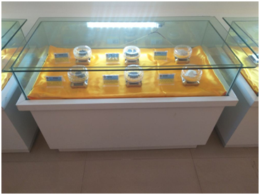 申博太阳城·(中国)官方网站