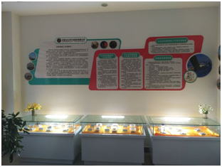 申博太阳城·(中国)官方网站