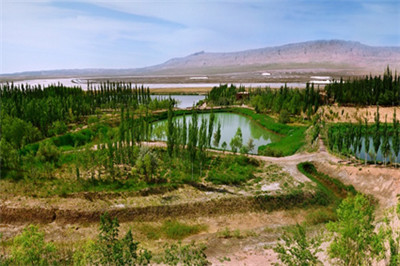 申博太阳城·(中国)官方网站