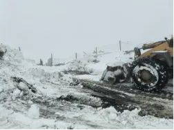 申博太阳城·(中国)官方网站